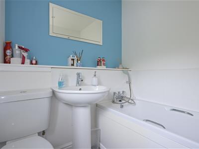 Picture 17